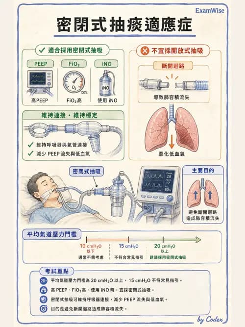 呼吸治療師 - 痰液清除與擴張治療 - AI 圖文解析預覽