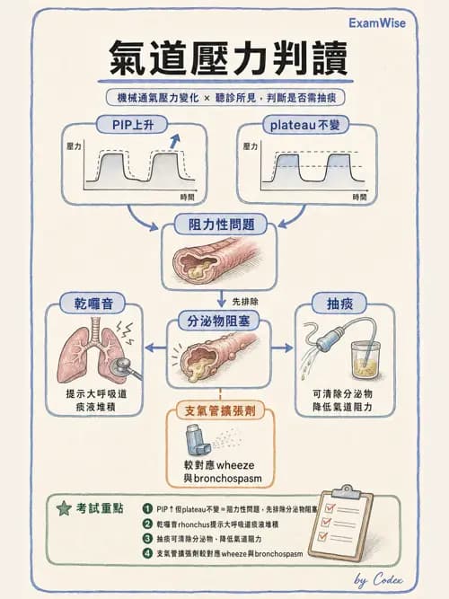 呼吸治療師 - 痰液清除與擴張治療 - AI 圖文解析預覽