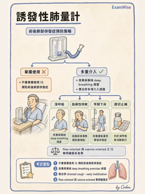 呼吸治療師 - 痰液清除與擴張治療 - AI 圖文解析預覽