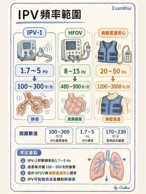 呼吸治療師 - 痰液清除與擴張治療 - AI 圖文解析預覽