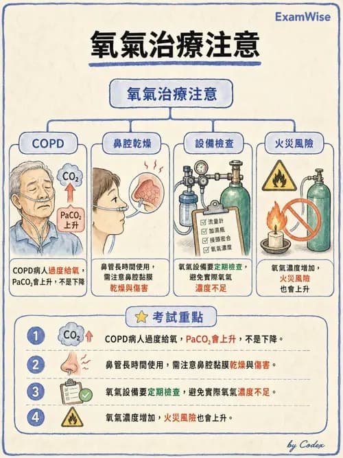 呼吸治療師 - 氣體輸送系統與氧氣治療 - AI 圖文解析預覽
