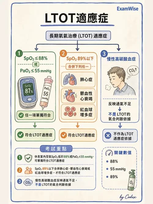 呼吸治療師 - 長期呼吸照護 - AI 圖文解析預覽