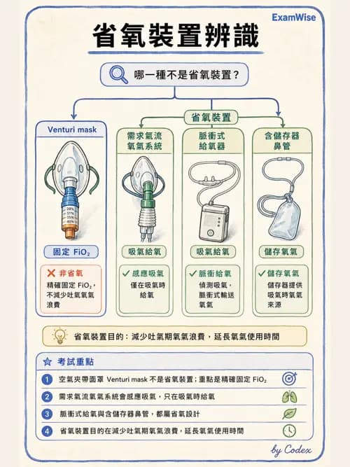 呼吸治療師 - 氣體輸送系統與氧氣治療 - AI 圖文解析預覽
