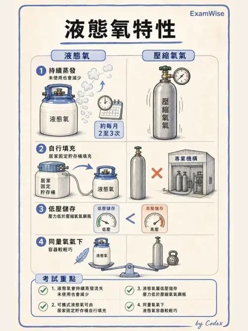 呼吸治療師 - 氣體輸送系統與氧氣治療 - AI 圖文解析預覽
