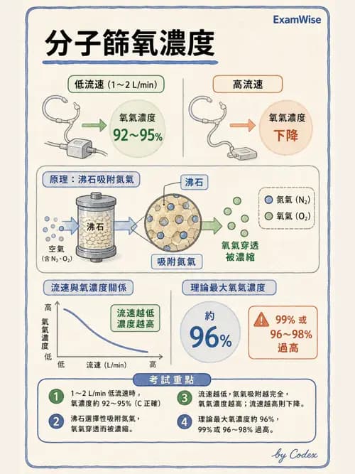 呼吸治療師 - 氣體輸送系統與氧氣治療 - AI 圖文解析預覽