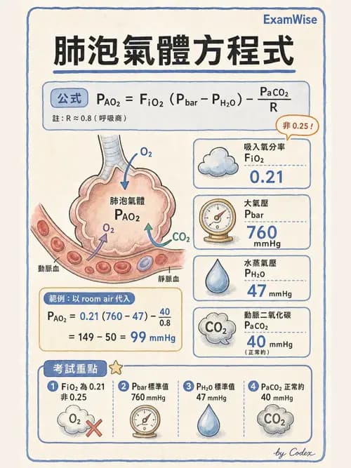 呼吸治療師 - 動脈血液氣體分析與氧合評估 - AI 圖文解析預覽