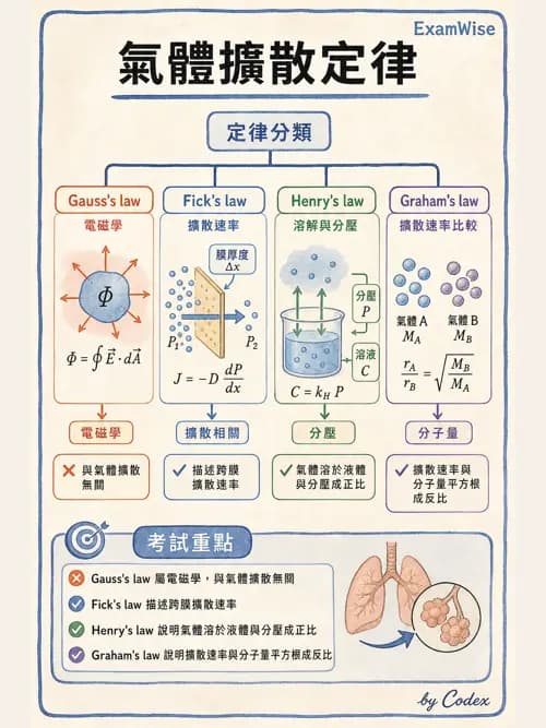 呼吸治療師 - 氣體物理學 - AI 圖文解析預覽