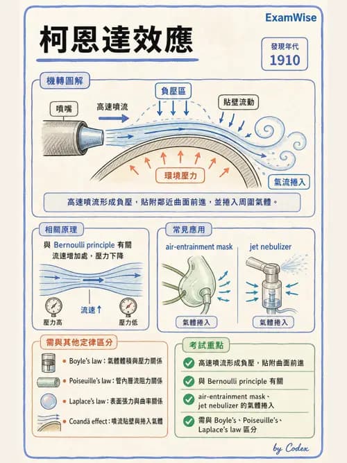呼吸治療師 - 氣體物理學 - AI 圖文解析預覽