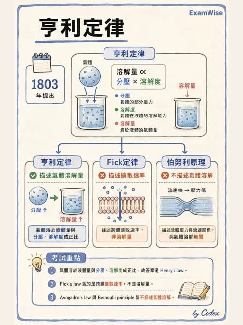 呼吸治療師 - 氣體物理學 - AI 圖文解析預覽