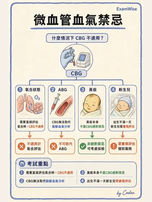 呼吸治療師 - 動脈血氣體分析設備 - AI 圖文解析預覽