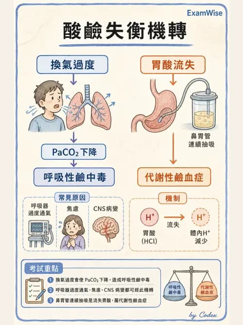 呼吸治療師 - 動脈血氣體分析設備 - AI 圖文解析預覽
