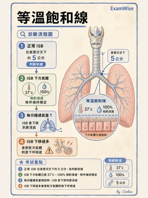 呼吸治療師 - 濕氣治療設備 - AI 圖文解析預覽