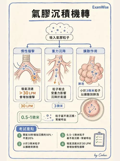 呼吸治療師 - 吸入性藥物噴霧設備 - AI 圖文解析預覽