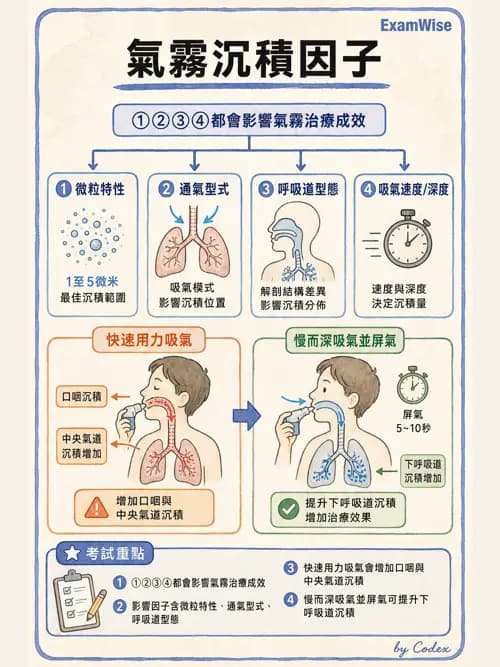 呼吸治療師 - 吸入性藥物噴霧設備 - AI 圖文解析預覽