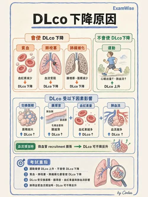 呼吸治療師 - 呼吸機械力學監測 - AI 圖文解析預覽