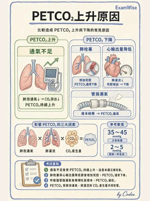 呼吸治療師 - 非侵入性呼吸監測設備 - AI 圖文解析預覽