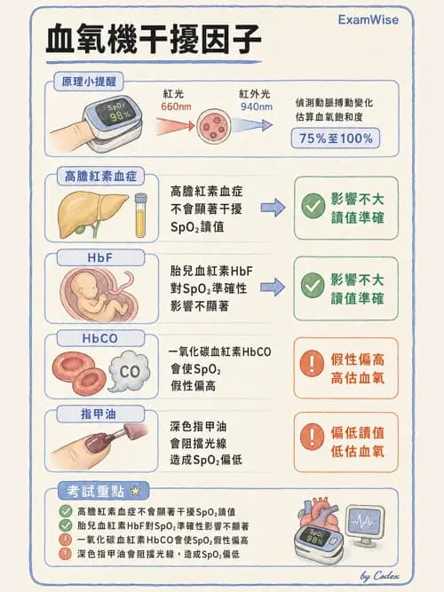呼吸治療師 - 非侵入性呼吸監測設備 - AI 圖文解析預覽