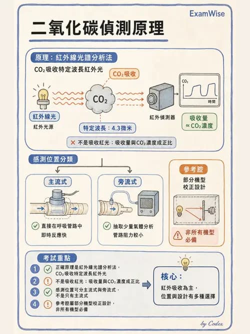 呼吸治療師 - 非侵入性呼吸監測設備 - AI 圖文解析預覽