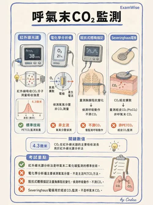 呼吸治療師 - 非侵入性呼吸監測設備 - AI 圖文解析預覽