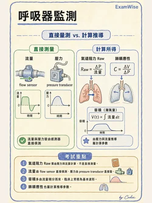 呼吸治療師 - 呼吸機械力學監測 - AI 圖文解析預覽