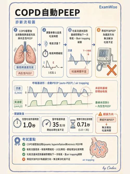 呼吸治療師 - 呼吸機械力學監測 - AI 圖文解析預覽