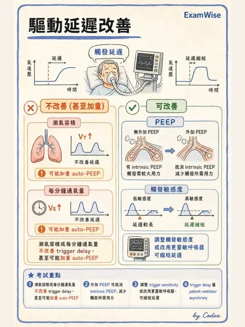 呼吸治療師 - 呼吸機械力學監測 - AI 圖文解析預覽