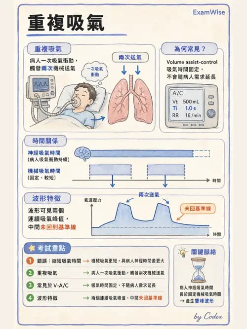 呼吸治療師 - 呼吸機械力學監測 - AI 圖文解析預覽