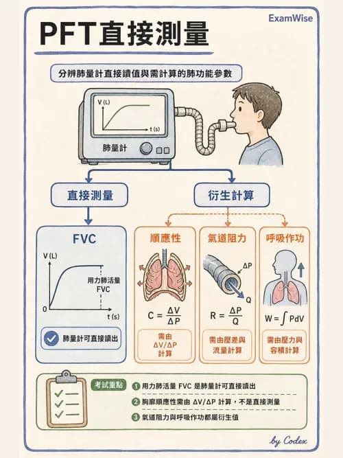 呼吸治療師 - 呼吸機械力學監測 - AI 圖文解析預覽