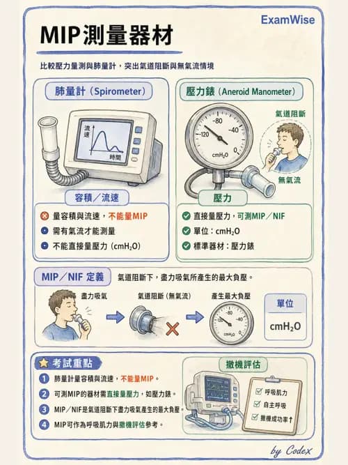 呼吸治療師 - 呼吸機械力學監測 - AI 圖文解析預覽