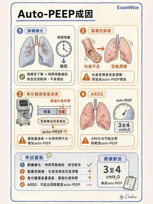 呼吸治療師 - 呼吸機械力學監測 - AI 圖文解析預覽