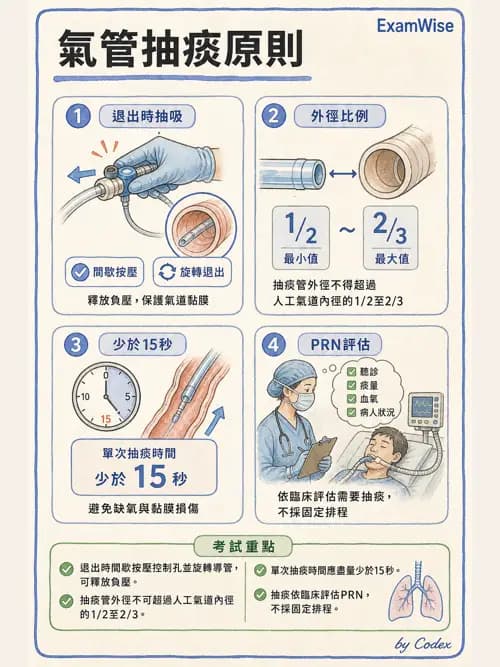 呼吸治療師 - 呼吸道照護與抽痰設備 - AI 圖文解析預覽