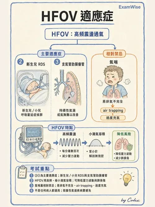 呼吸治療師 - 呼吸器設計與通氣模式 - AI 圖文解析預覽