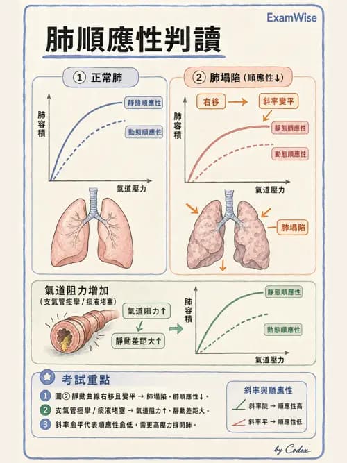 呼吸治療師 - 呼吸器圖形判讀與故障排除 - AI 圖文解析預覽