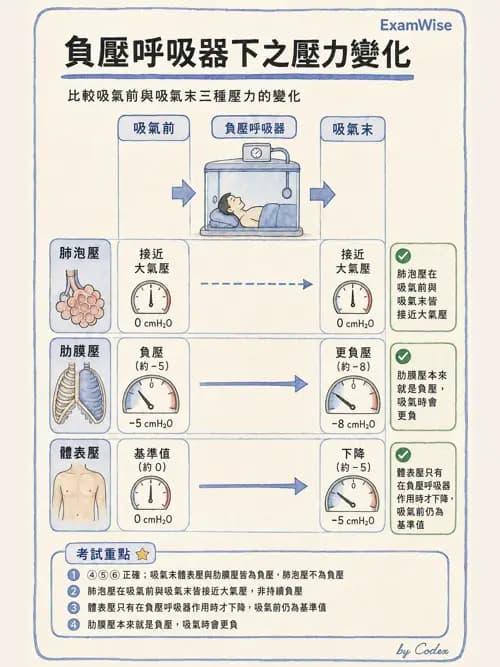 呼吸治療師 - 機械通氣生理 - AI 圖文解析預覽