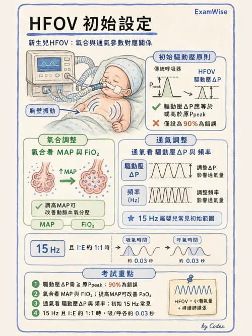呼吸治療師 - 小兒呼吸器支持 - AI 圖文解析預覽