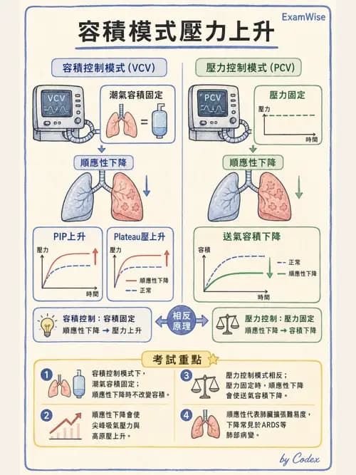 呼吸治療師 - 呼吸器監測與評估 - AI 圖文解析預覽