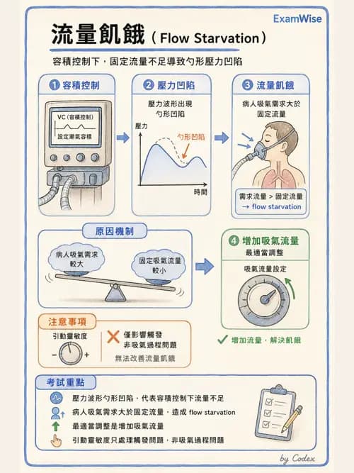 呼吸治療師 - 呼吸器圖形判讀與故障排除 - AI 圖文解析預覽
