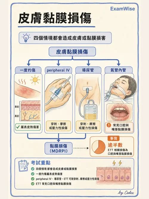 呼吸治療師 - 正壓通氣生理影響與合併症 - AI 圖文解析預覽