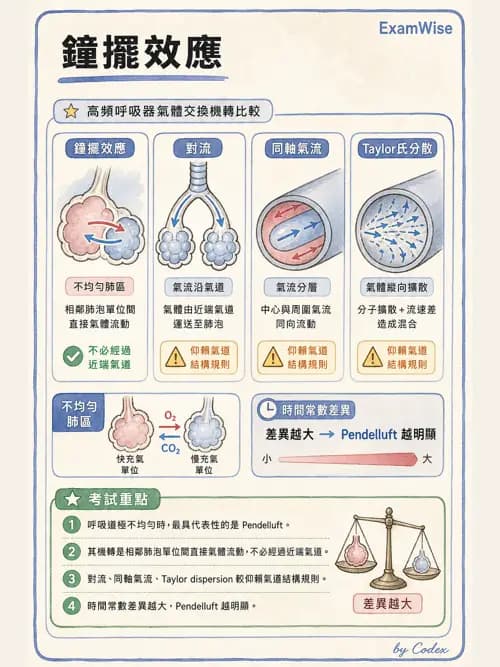 呼吸治療師 - 呼吸器設計與通氣模式 - AI 圖文解析預覽