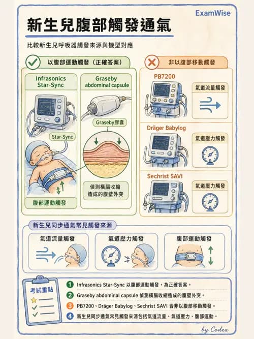 呼吸治療師 - 呼吸器設計與通氣模式 - AI 圖文解析預覽