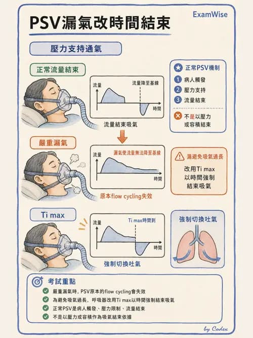 呼吸治療師 - 呼吸器設計與通氣模式 - AI 圖文解析預覽