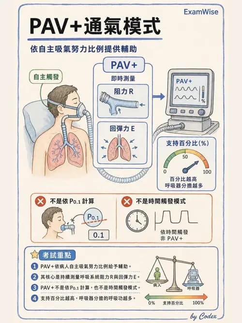 呼吸治療師 - 呼吸器設計與通氣模式 - AI 圖文解析預覽