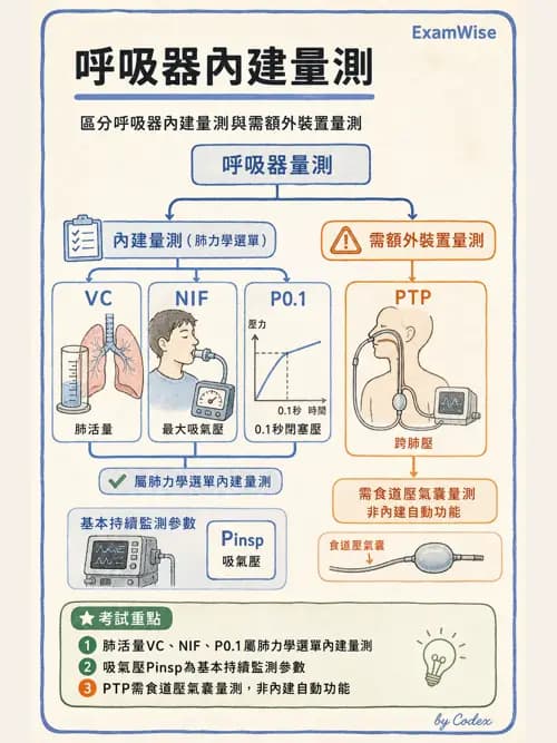 呼吸治療師 - 呼吸器設計與通氣模式 - AI 圖文解析預覽