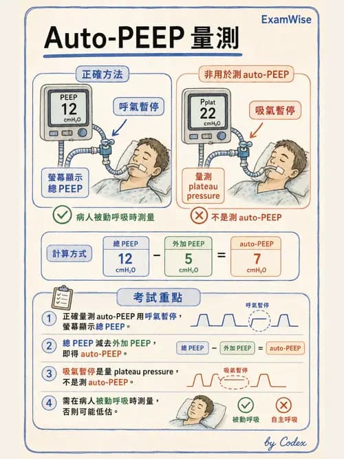 呼吸治療師 - 呼吸器監測與評估 - AI 圖文解析預覽