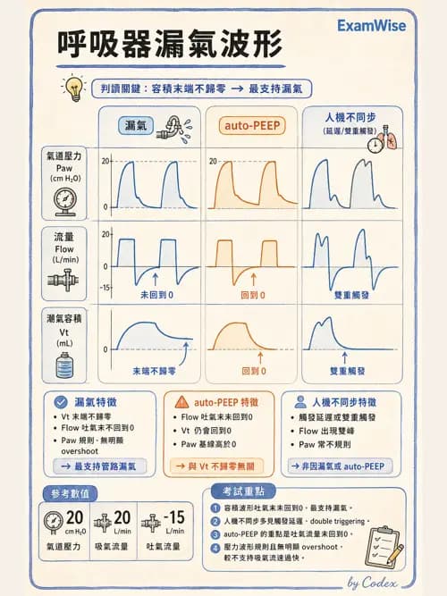 呼吸治療師 - 呼吸器圖形判讀與故障排除 - AI 圖文解析預覽