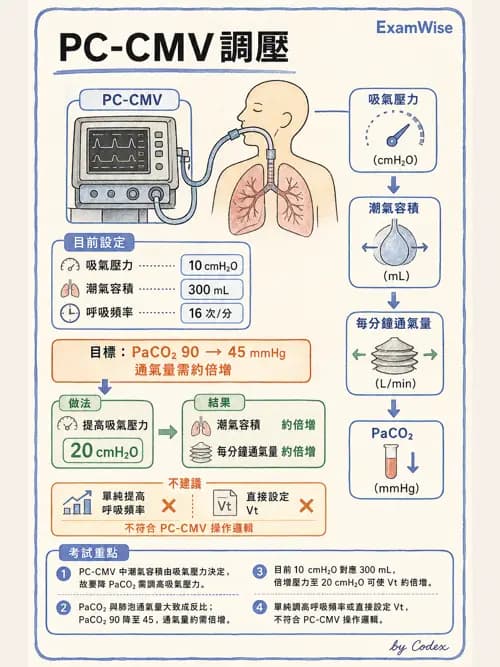 呼吸治療師 - 臨床設定、參數調整與脫離 - AI 圖文解析預覽