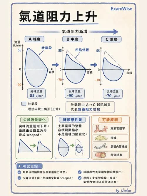 呼吸治療師 - 呼吸器圖形判讀與故障排除 - AI 圖文解析預覽