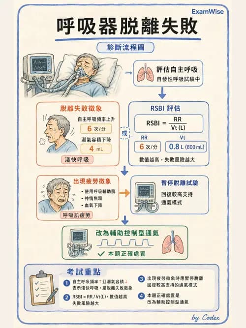 呼吸治療師 - 呼吸器圖形判讀與故障排除 - AI 圖文解析預覽