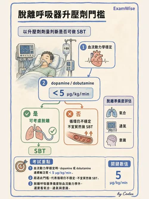呼吸治療師 - 臨床設定、參數調整與脫離 - AI 圖文解析預覽
