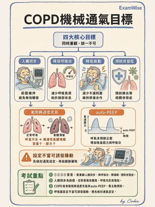 呼吸治療師 - 臨床設定、參數調整與脫離 - AI 圖文解析預覽